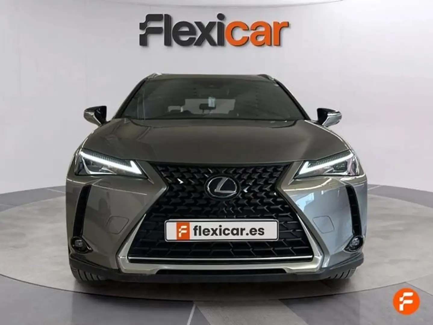 Lexus UX 250h 2.0+250h+Business Gris - 2