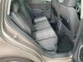 Volkswagen Golf Plus Match 1,2TSI DSG Brun - thumbnail 9