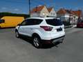 Ford Kuga Business 1.5 i Ecoboost 150pk Trekhaak '18 (81176) Wit - thumbnail 3