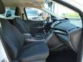 Ford Kuga Business 1.5 i Ecoboost 150pk Trekhaak '18 (81176) Wit - thumbnail 8