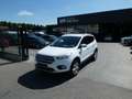 Ford Kuga Business 1.5 i Ecoboost 150pk Trekhaak '18 (81176) Wit - thumbnail 19