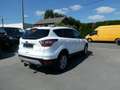 Ford Kuga Business 1.5 i Ecoboost 150pk Trekhaak '18 (81176) Wit - thumbnail 5