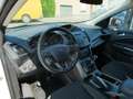 Ford Kuga Business 1.5 i Ecoboost 150pk Trekhaak '18 (81176) Wit - thumbnail 15