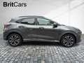 Ford Puma ST-Line X LED+Navi+Kamera+Winterpaket Gris - thumbnail 6
