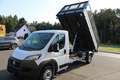Fiat Ducato MAXI 3 Seitenkippper 3.6m   Netto EUR 39... Weiß - thumbnail 7
