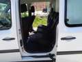 Renault Kangoo 5 Sitzer  Netto 10000 Euro Weiß - thumbnail 6