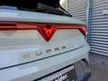 CUPRA Leon 1.5 eTSI 7DSG AHK/MATRIX/PANO/SENNHEISER Gris - thumbnail 17
