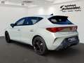 CUPRA Leon 1.5 eTSI 7DSG AHK/MATRIX/PANO/SENNHEISER Gris - thumbnail 5