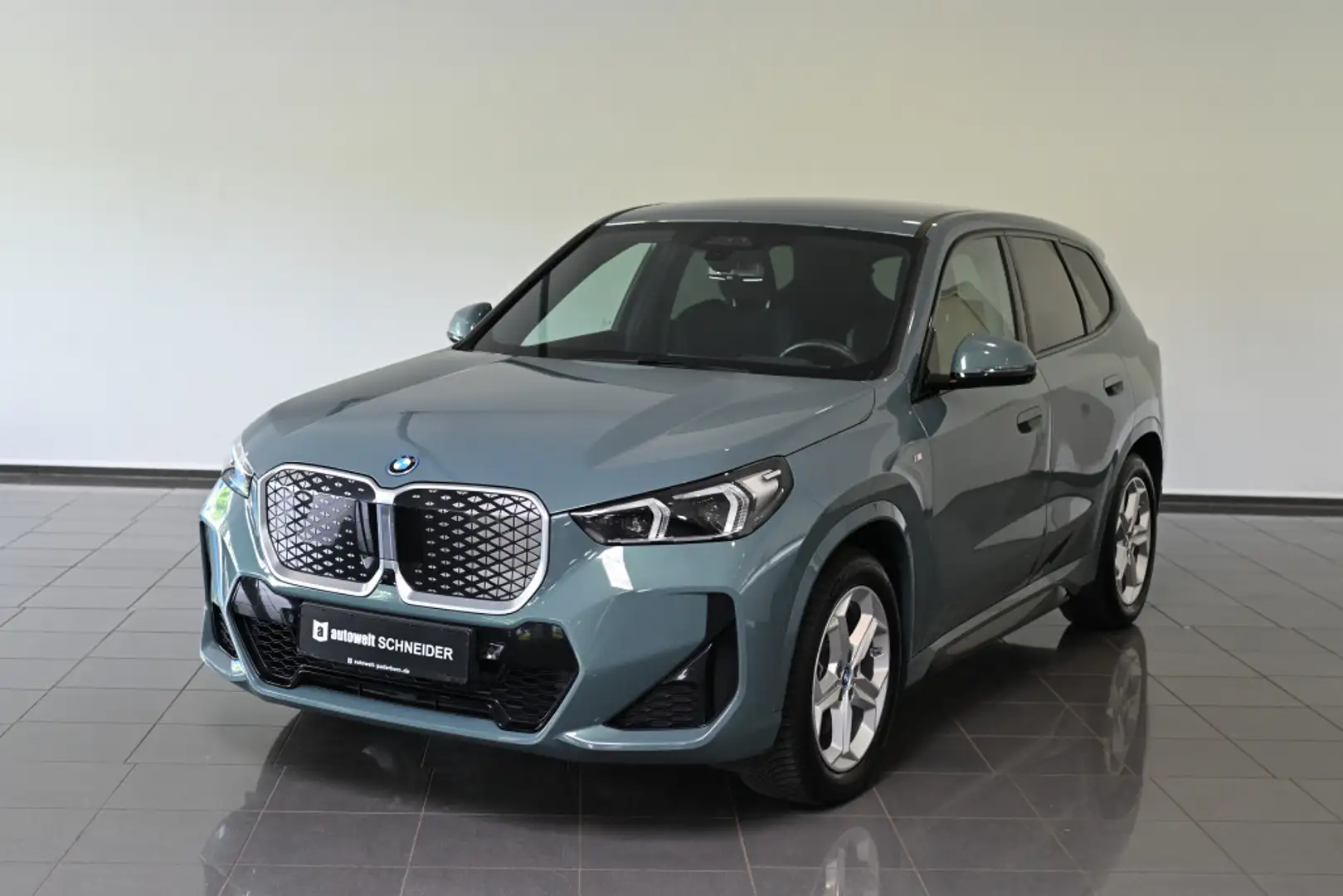 BMW X1 30 xDrive M Sport HUD ACC LED PDC Kamera Vert - 1