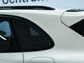 Porsche Cayenne E-Hybrid Beige - thumbnail 12
