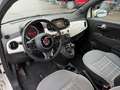 Fiat 500 1.2 8V Lounge Weiß - thumbnail 10