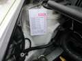 Citroen C1 Selection ,Klima ,Facelift, wenig km, HU neu Weiß - thumbnail 17