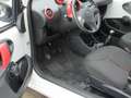 Citroen C1 Selection ,Klima ,Facelift, wenig km, HU neu Weiß - thumbnail 12