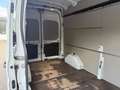 Ford Transit 2.0 TDCi 350 L3/R-Cam/DAB+/1H/Tempomat Blanco - thumbnail 12