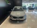 Skoda Kamiq 1.6 tdi Ambition 115cv dsg Grau - thumbnail 28