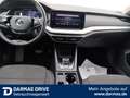 Skoda Octavia Octavia Combi Style First Style AHK Navigation - thumbnail 14