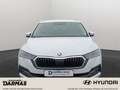 Skoda Octavia Octavia Combi Style First Style AHK Navigation - thumbnail 3