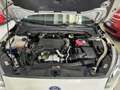 Ford Focus Focus SW 1.5 ecoblue Business Co-pilot s Blanc - thumbnail 20
