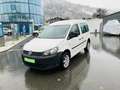 Volkswagen Caddy Startline 2,0TDI4MOTION § 57a 11/2024 NEUE Weiß - thumbnail 5