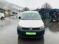 Volkswagen Caddy Startline 2,0TDI4MOTION § 57a 11/2024 NEUE Weiß - thumbnail 4