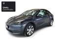 Tesla Model Y Long Range AWD Argento - thumbnail 1