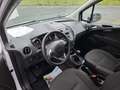 Ford Transit Courier 1,0 l EcoBoost 74 kW (100 PS) B KA Weiß - thumbnail 4