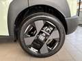 Fiat Grande Panda Grande Panda 1.2 hybrid La Prima 110cv edct Grün - thumbnail 9