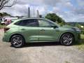 Ford Kuga 1.5 EcoBoost ST-LINE Automatik Winterpaket,Protect Verde - thumbnail 5