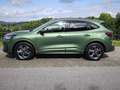 Ford Kuga 1.5 EcoBoost ST-LINE Automatik Winterpaket,Protect Verde - thumbnail 4