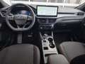 Ford Kuga 1.5 EcoBoost ST-LINE Automatik Winterpaket,Protect Verde - thumbnail 9