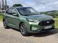 Ford Kuga 1.5 EcoBoost ST-LINE Automatik Winterpaket,Protect Verde - thumbnail 3