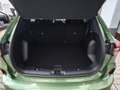 Ford Kuga 1.5 EcoBoost ST-LINE Automatik Winterpaket,Protect Verde - thumbnail 15