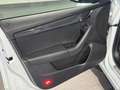 Skoda Octavia RS 4x4**DESG**Pano** Weiß - thumbnail 23