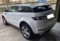 Land Rover Range Rover Evoque 2.2L SD4 Dynamic 4x4 190 Aut. Blanco - thumbnail 4