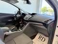 Ford C-Max 1.6 tdci Titanium 95cv ok neopatentati Blanc - thumbnail 10