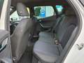SEAT Arona TSI 115 Autom., XL Kessy, Kamera, ACC, Winter ALUs Weiß - thumbnail 14