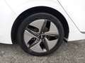 Hyundai IONIQ Feel HYBRID Blanc - thumbnail 17