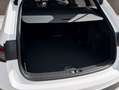 Toyota Corolla 1.8 125H BUSINESS PLUS E-CVT TOU SPORT Blanco - thumbnail 10
