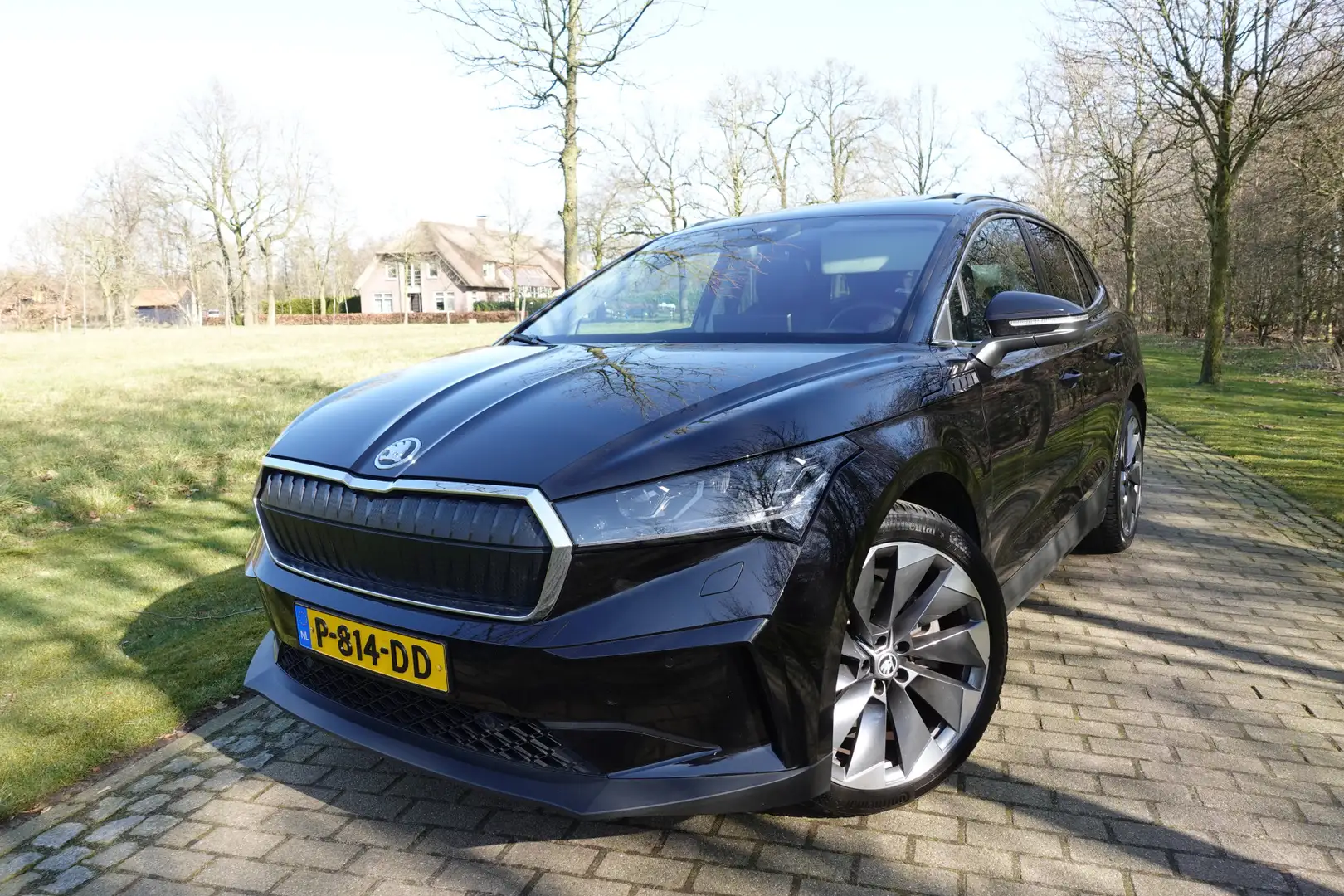 Skoda Enyaq iV 80 First Edition High | Leer | Panorama dak | C Black - 1