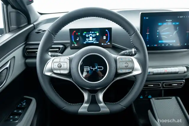 Byd Dolphin view 6