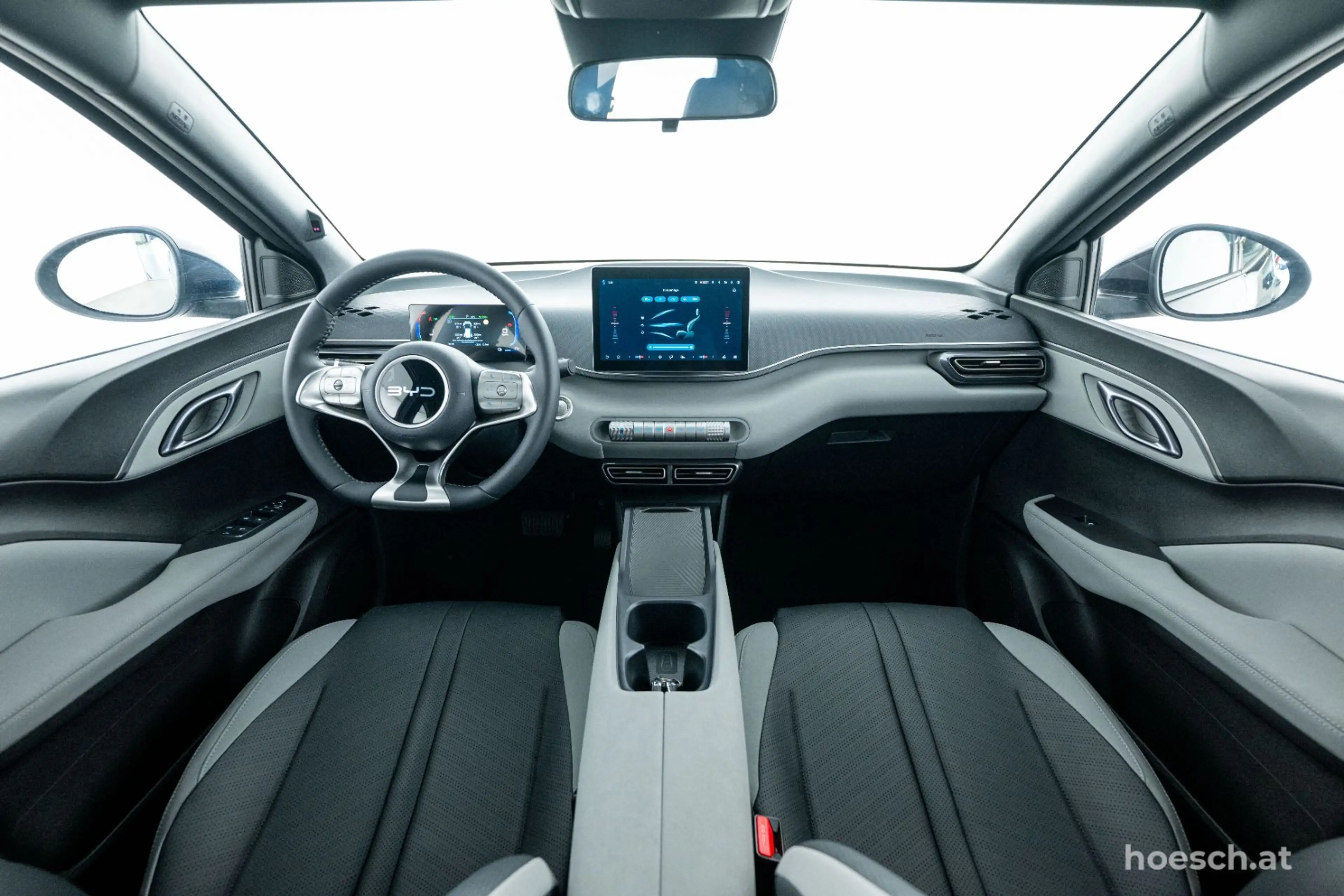 BYD Dolphin Surf BOOST 43 kWh LEDER KAMERA ASSISTENZ — photo 5