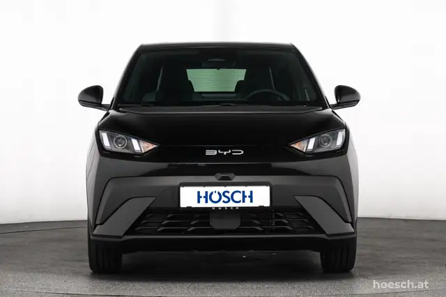 Byd Dolphin view 2