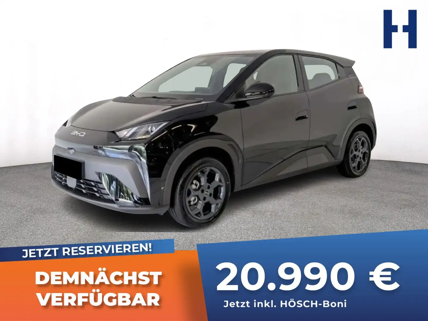 BYD Dolphin Surf BOOST 43 kWh LEDER KAMERA ASSISTENZ Schwarz - 1