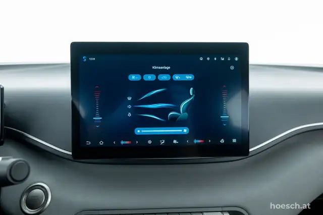 Byd Dolphin view 11