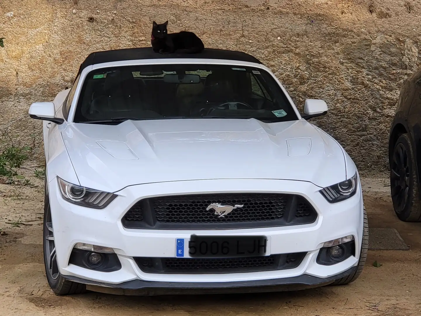 Ford Mustang Mustang Convertible 5.0 Ti-VCT GT Aut. GT Blanco - 1