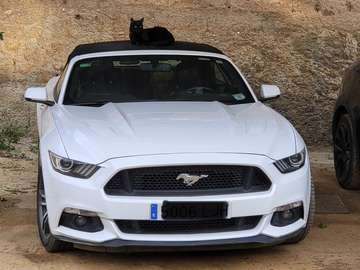 Mustang Convertible 5.0 Ti-VCT GT Aut. GT