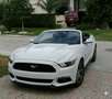Ford Mustang Mustang Convertible 5.0 Ti-VCT GT Aut. GT Blanco - thumbnail 3