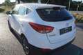 Hyundai iX35 ix35 1.7 CRDI DPF Limited Edition 2WD Weiß - thumbnail 9