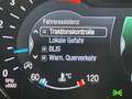 Ford S-Max 2.0 EcoBlue Titanium*Navi*Leder*Pano*AHK* Blau - thumbnail 32