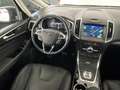 Ford S-Max 2.0 EcoBlue Titanium*Navi*Leder*Pano*AHK* Blau - thumbnail 13